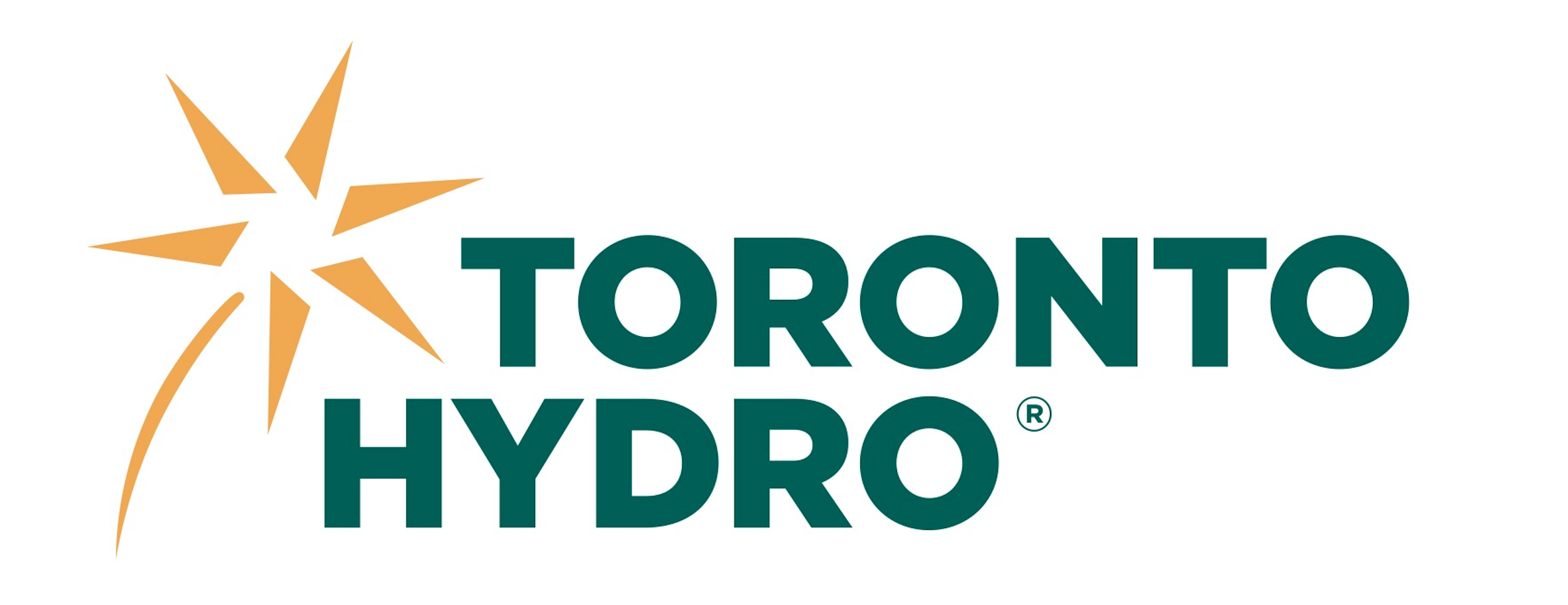 https://ilead.engineering.utoronto.ca/wp-content/uploads/sites/16/2020/11/toronto-hydro-logo.png